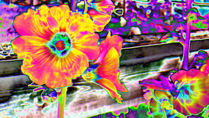 Desať najdrahších tekutín sveta - LSD