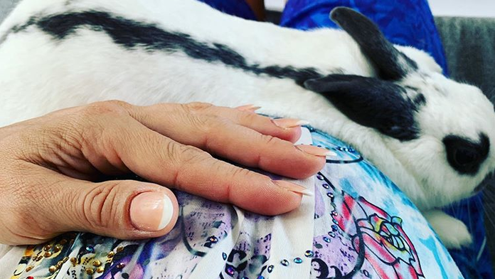 Záchranná akcia chlapca v oceáne na Oak Islande.