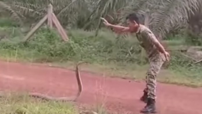 Carolina Hurricanes vs New York Islanders