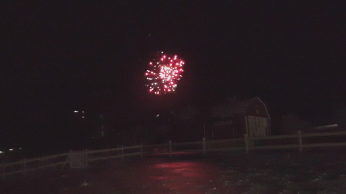 19_ruttkay_strelec_VIDEO_tvnoviny.mp4