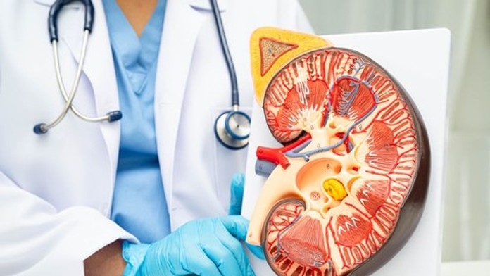 Na Slovensku pribúda rakovina obličiek. Pacienti si všimnú jeden varovný príznak