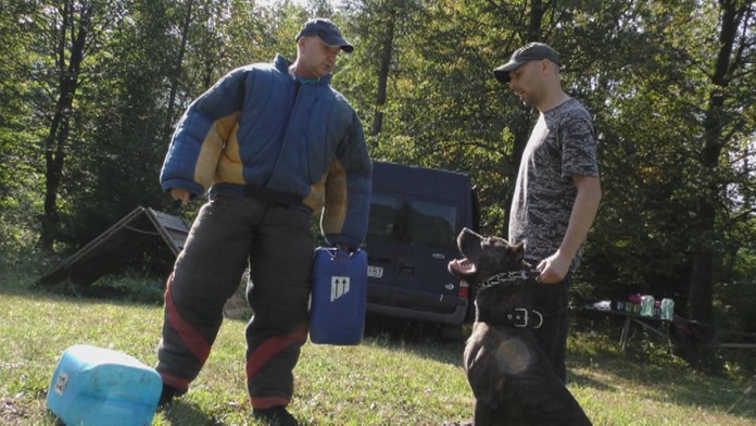 Výcvik psov.