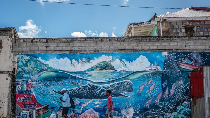 Ľudia kráčajú okolo veľryby, ktorú nakreslil umelec Marcus Cuffi v Roseau v karibskom  ostrove Dominika.