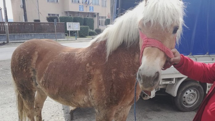 Nazreli sme Romane do kabelky. Veď s týmto by mohla niekoho aj zabiť!