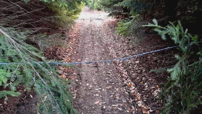 Natiahnutí drôt v lese proti motorkárom