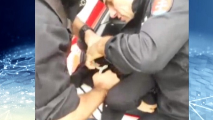 Zábery zo zákroku. 