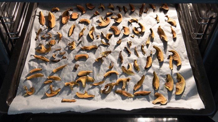 Ilustračná snímka.