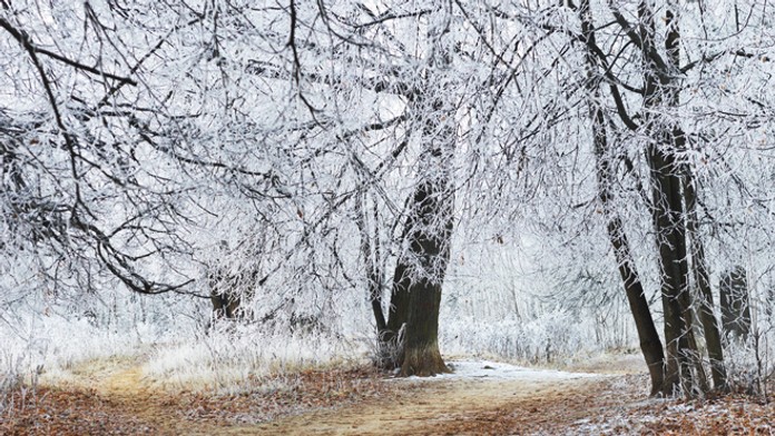 Sneh na jeseň - ilustračná snímka.