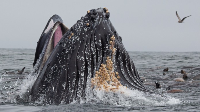 Ilustračná snímka.