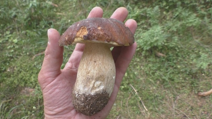 Ilustračná snímka.