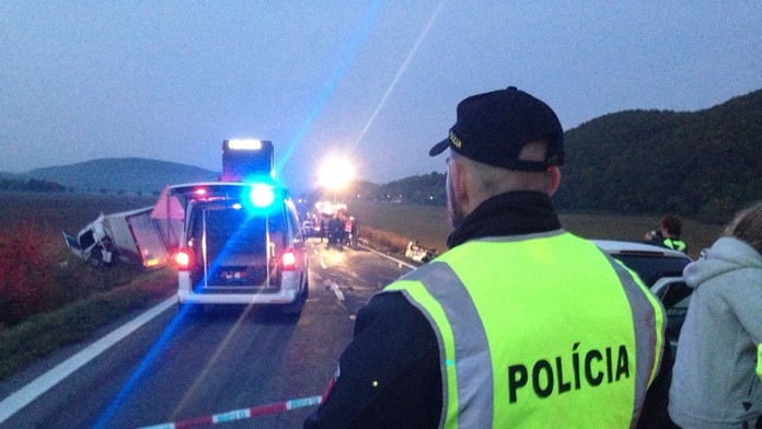 Reflex, Psie zápasy