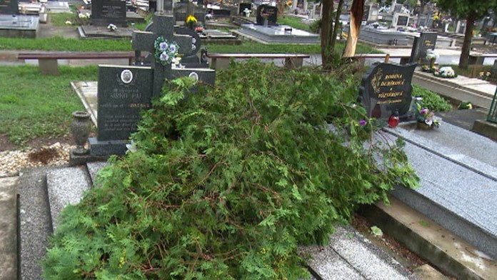 Strom skončil na hrobe