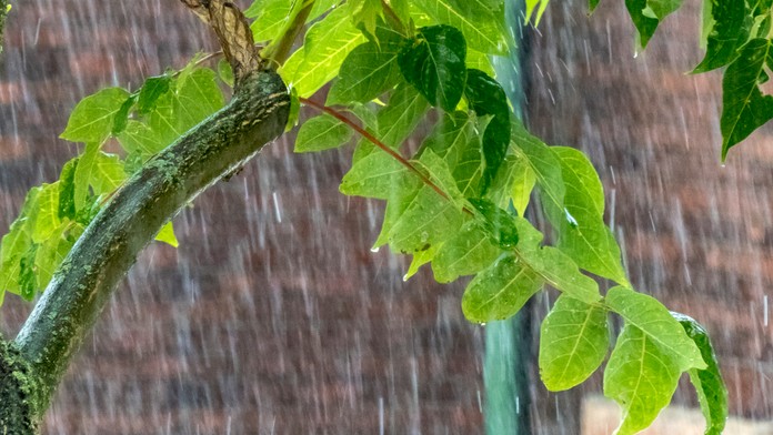 Silný dážď počas búrky v Bratislave.