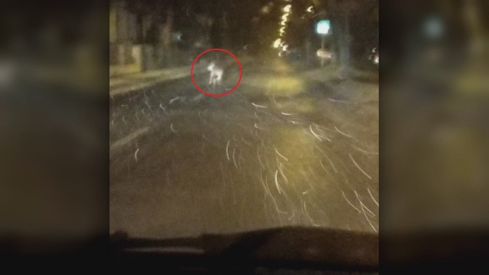 Ilustračná snímka.