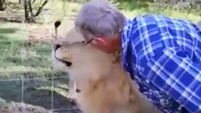 Emilia Clarke v roku 2011