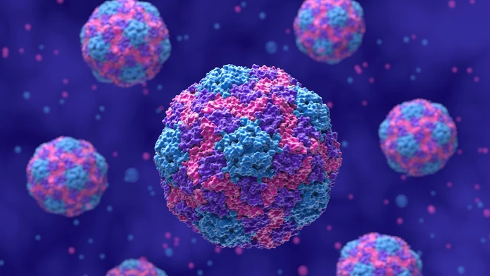 Vírus hepatitídy A (HAV) – 3D ilustrácia v polodetaile