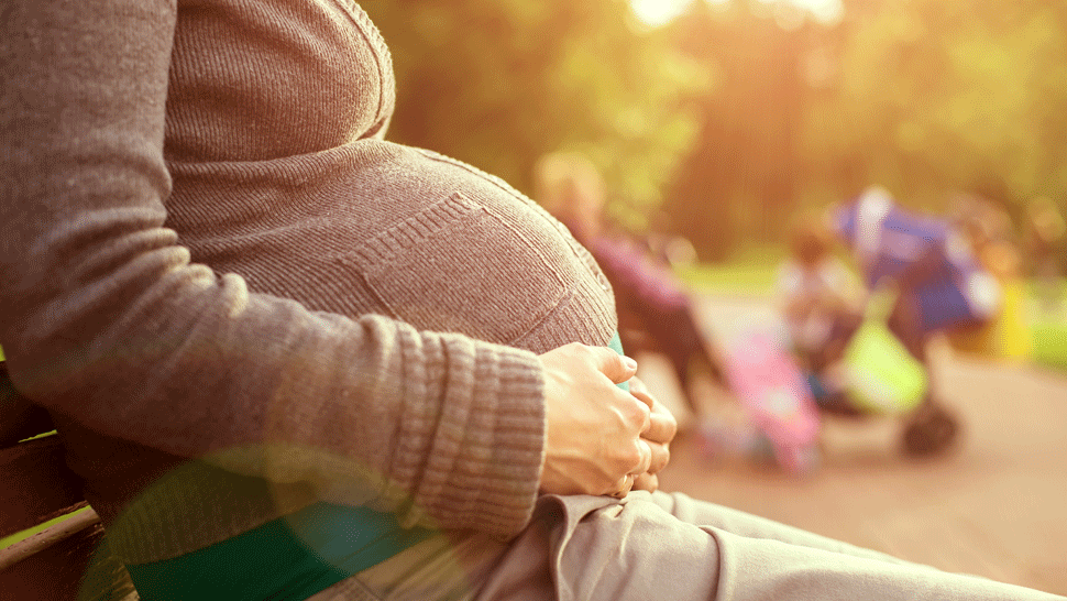 Medovníky, ktoré napiekla prezidentka Zuzana Čaputová.