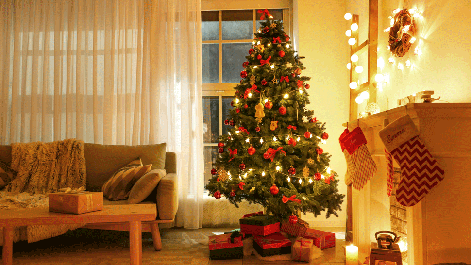 Vianočné stromčeky v kvetináčoch.