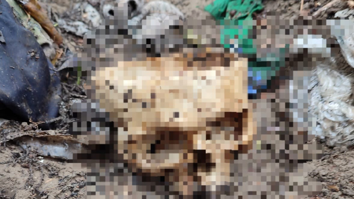 Nájdená lebka v Bratislave