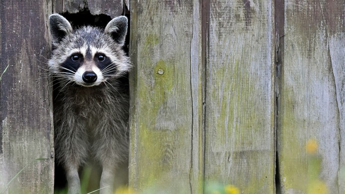Reflex - v pondelok, 6. mája, o 17.25!