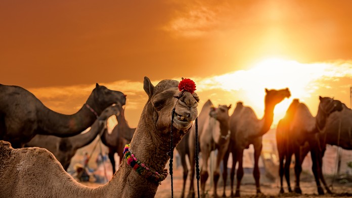 Ilustračná snímka