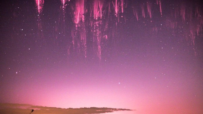 Červený škriatok odfotený v Slovinsku v roku 2014