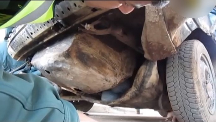 Pašovanie migrantov