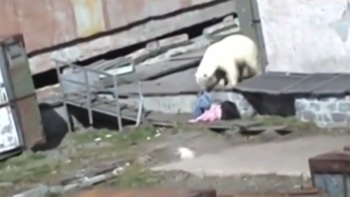 Na matku dvoch detí zaútočil v lese medveď.