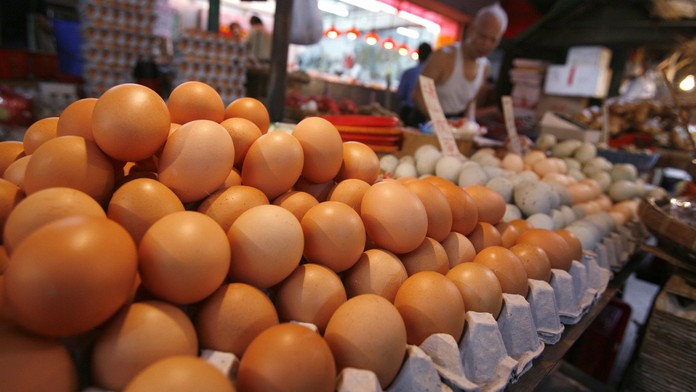 Vajcia - ilustračné foto.