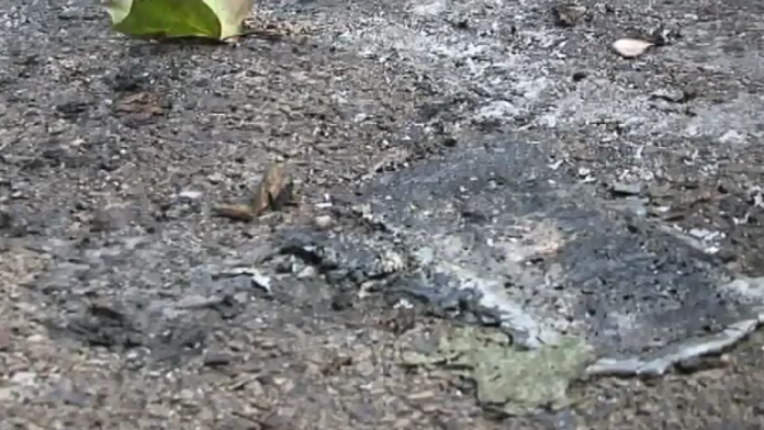 Pitva preukázala, že plod zomrel ešte pred narodením