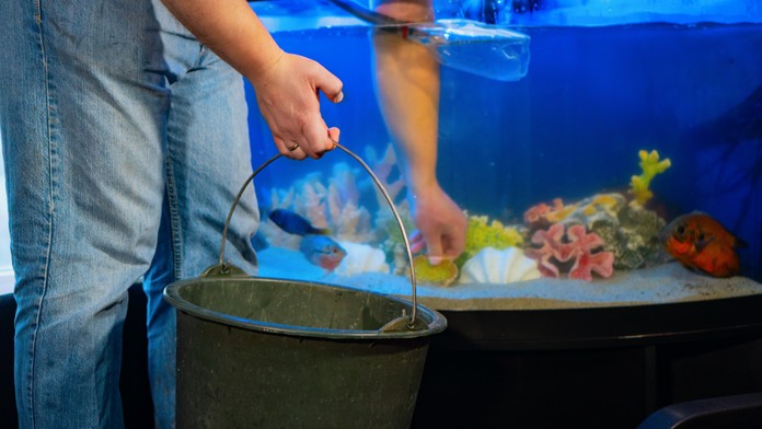 Mimoriadne nezvyčajná infekcia u ľudí. Muž sa nakazil rybou tuberkulózou, mohol za to bežný zlozvyk