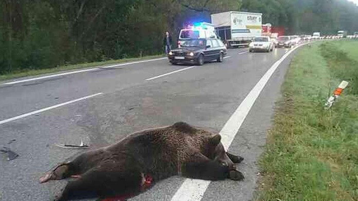 Tragická nehoda smerom na Ružomberok.