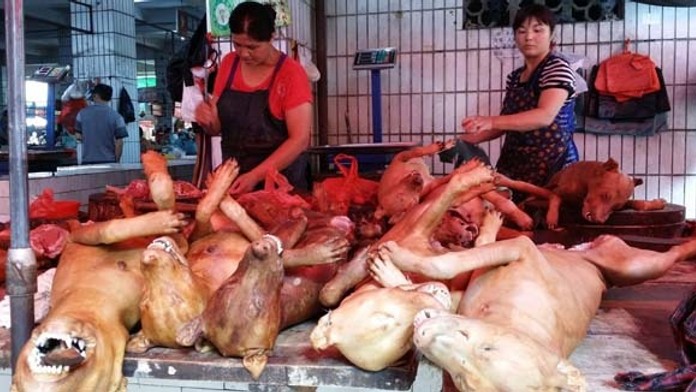 Čínsky festival jedenia psieho mäsa v meste Yulin