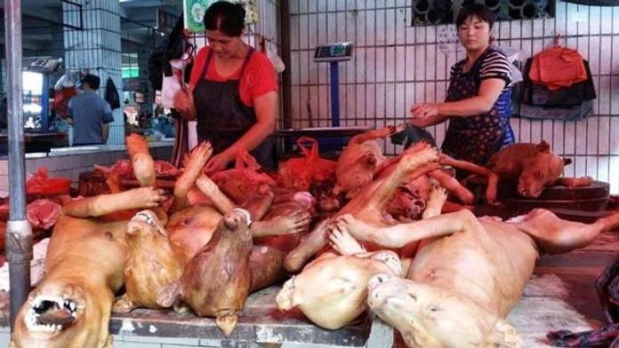 Čínsky festival jedenia psieho mäsa v meste Yulin