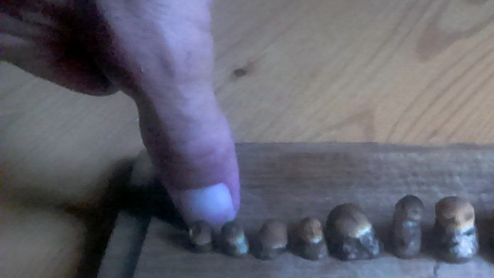 Dubáky od čitateľa Milana zo Župkova.