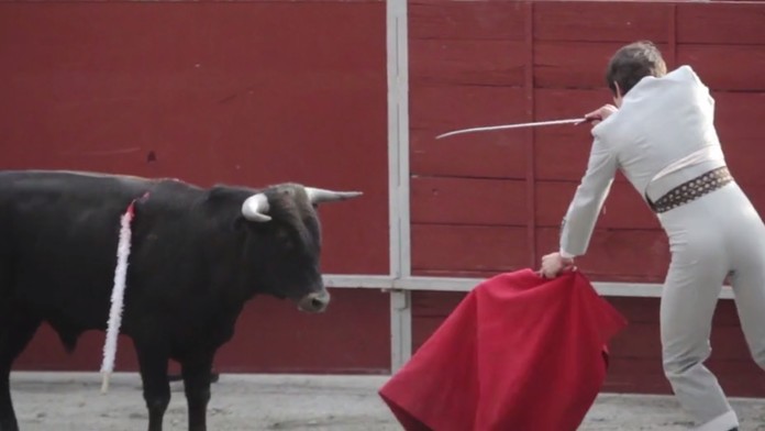 Chlapec počas býčích zápasov