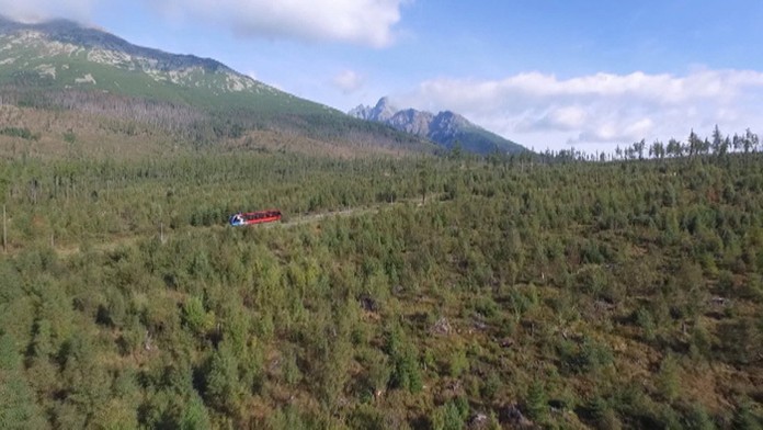 Pohľad na stromy, ktoré vyrástli na mieste po kalamite v roku 2004.