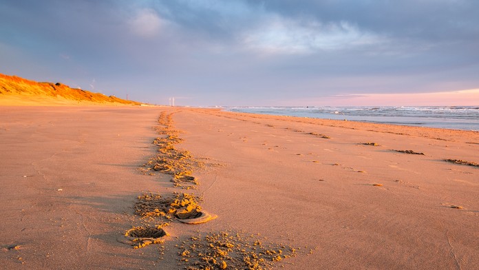 FARMA Shutter image datum.mp4