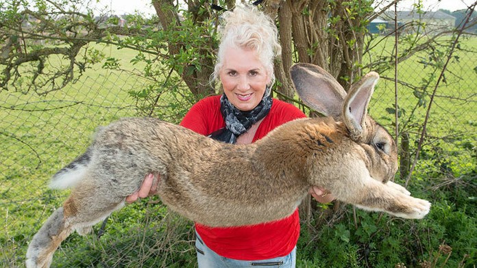 Annette Edwards s králikom