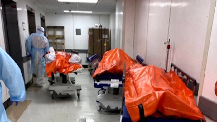 17 ZAHR Korona svet.transfer_tvnoviny.mp4