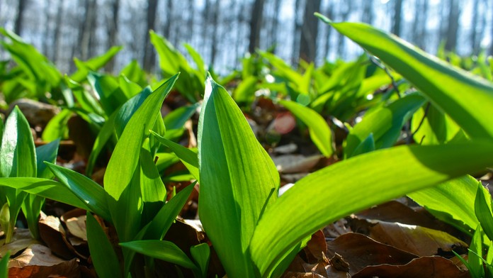 Ilustračná snímka. 