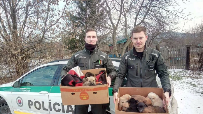 Jedenásť zachránených šteniatok.