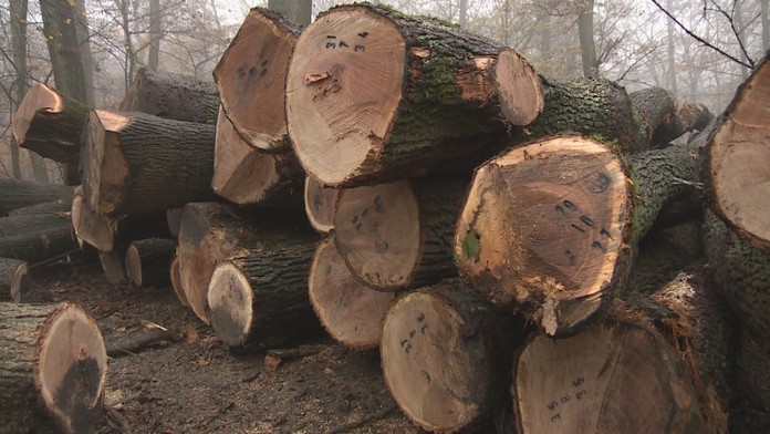 Ilustračná snímka.