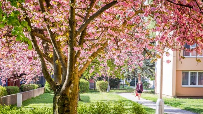 Modely ukázali, ako by mohla vyzerať tohtoročná jar. Predpoveď vás zrejme poteší