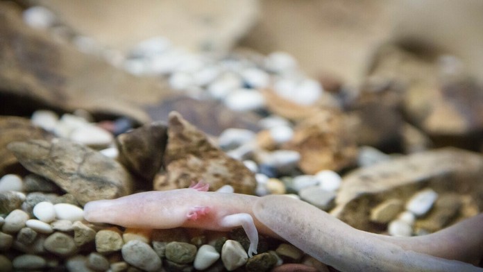 Ilustračná snímka.