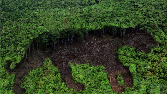 Kamenné koberce vydržia desiatky rokov.
