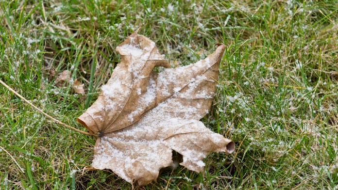 Ilustračná snímka.