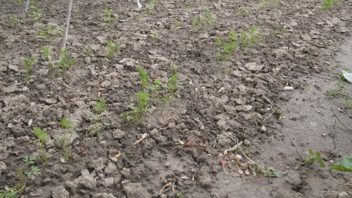 Ilustračná snímka.