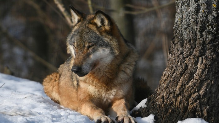 Ilustračná snímka.