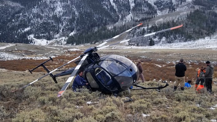 Siamské dvojčatá pred operáciou v Texaskej detskej nemocnici v Houstone. 